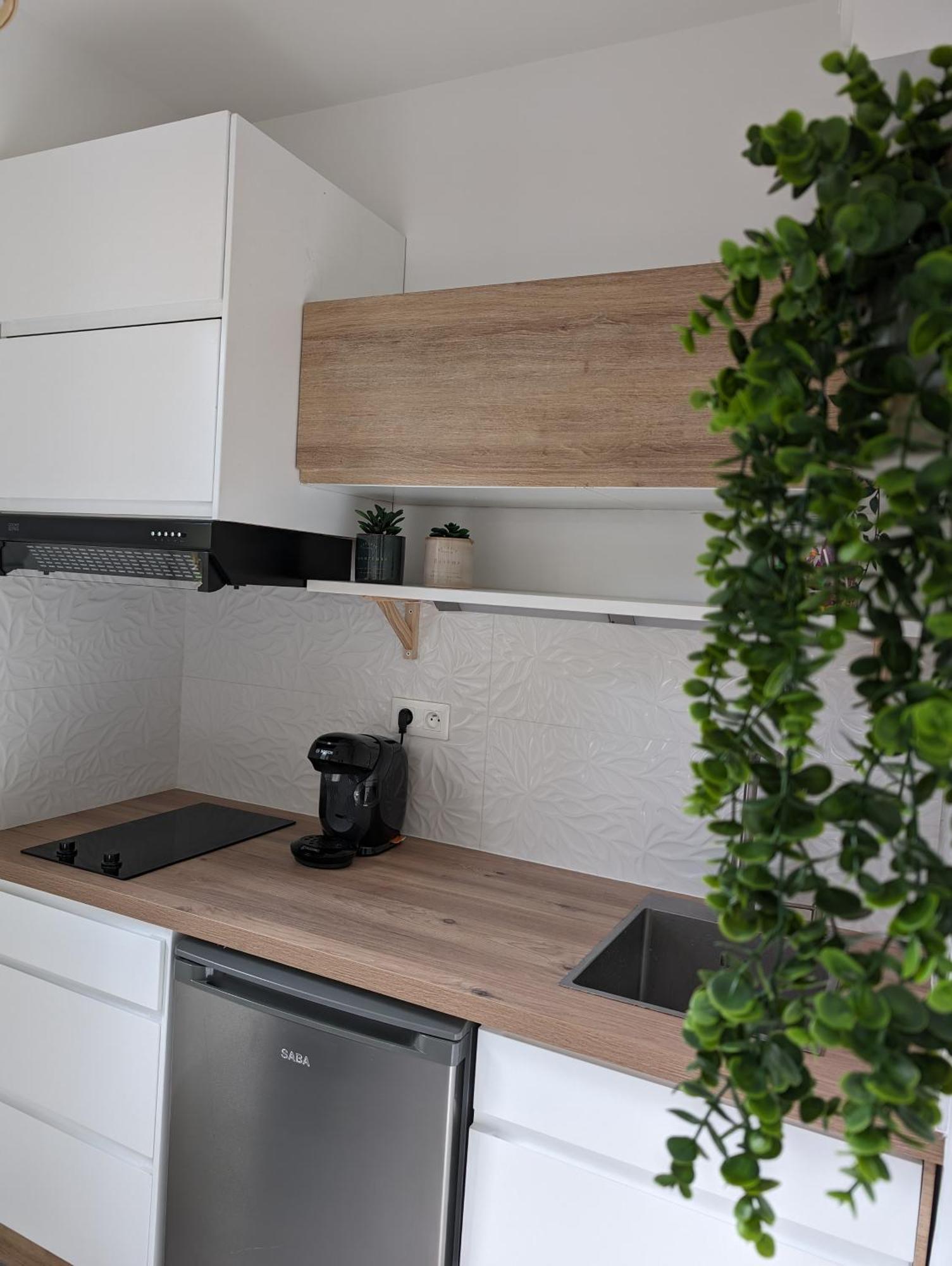 Appartement Cosy Au Calme A Cote Du Zoo Avec Balcon Et Parking Securise Монпелие Екстериор снимка